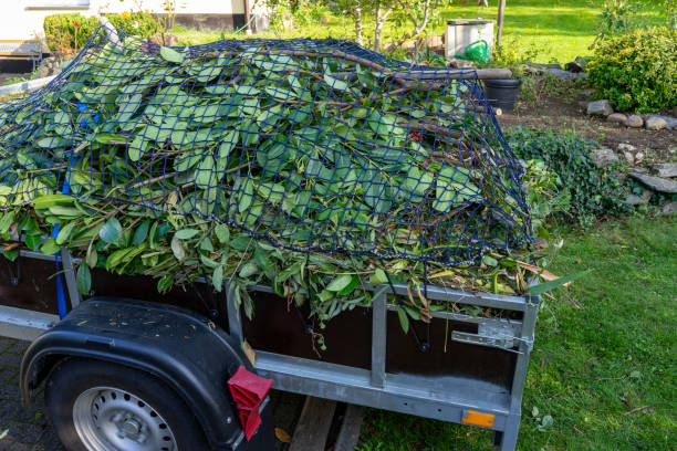 Best Estate Cleanout  in Northwest Ithaca, NY